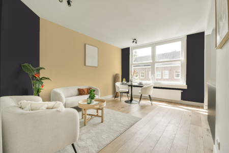 apartement met de kleur Ppg1003-7 op de muren