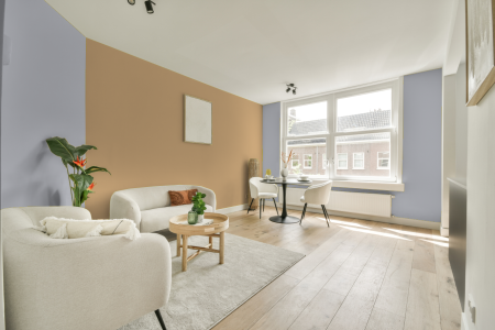 apartement met de kleur Ppg1169-3 op de muren