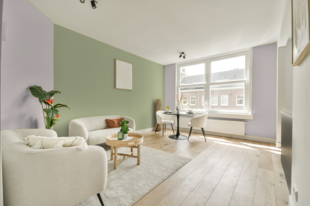 apartement met de kleur Ppg18-17 op de muren