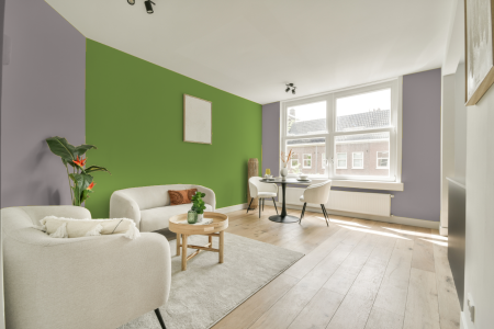 apartement met de kleur An.02.65 op de muren