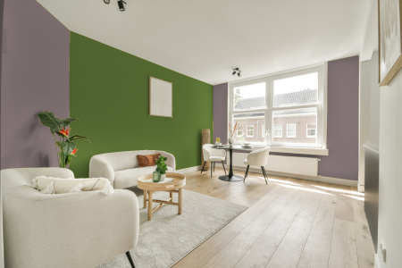 apartement met de kleur B2.05.55 op de muren