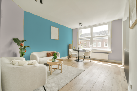 apartement met de kleur Dn.02.82 op de muren