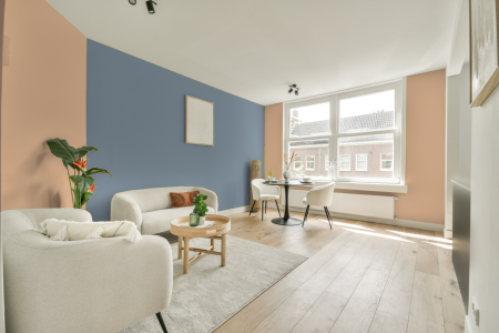 apartement met de kleur E4.20.80 op de muren