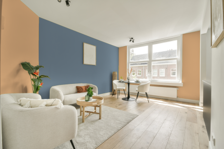 apartement met de kleur E5.27.77 op de muren