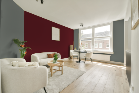 apartement met de kleur K2.05.50 op de muren