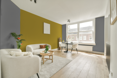 apartement met de kleur On.00.53 op de muren