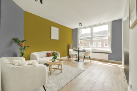 apartement met de kleur On.00.60 op de muren