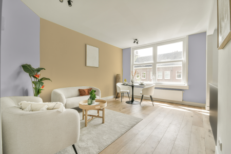 apartement met de kleur V7.03.81 op de muren