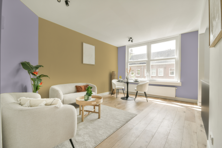 apartement met de kleur W0.05.70 op de muren