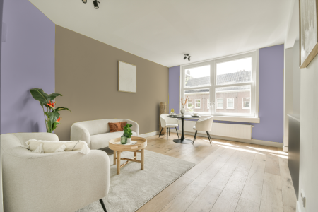 apartement met de kleur W0.08.71 op de muren