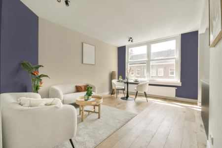 apartement met de kleur W0.10.40 op de muren