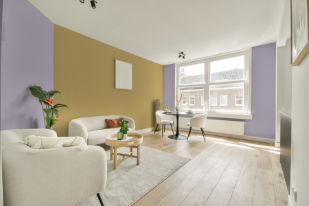 apartement met de kleur W6.05.72 op de muren