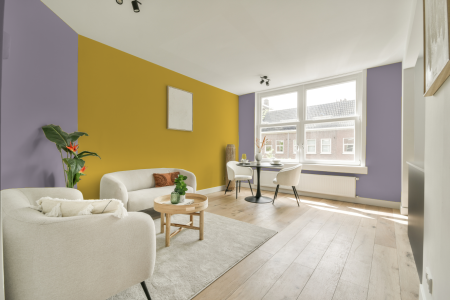 apartement met de kleur W8.05.63 op de muren