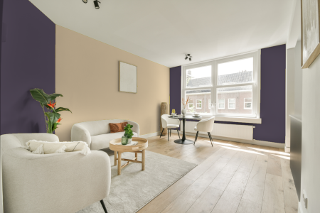 apartement met de kleur X0.10.30 op de muren