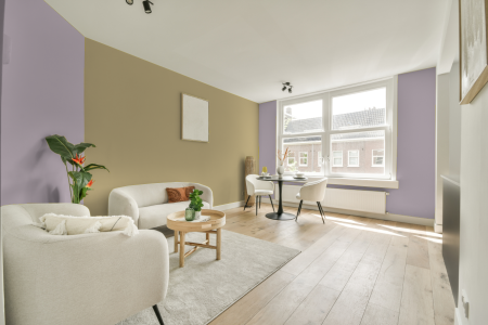 apartement met de kleur Y0.05.72 op de muren