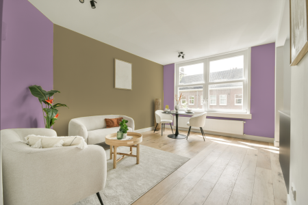 apartement met de kleur Y0.12.63 op de muren