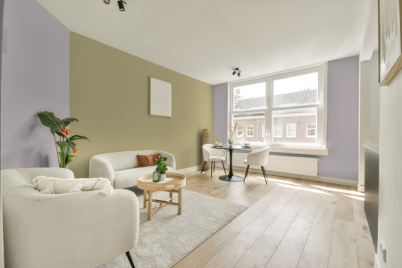 apartement met de kleur Yn.02.77 op de muren