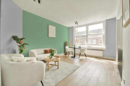 apartement met de kleur An.00.81 op de muren