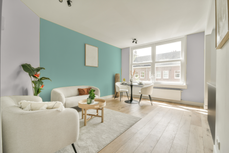 apartement met de kleur Cn.00.87 op de muren