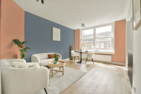 apartement met de kleur D6.24.75 op de muren