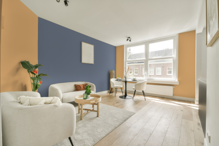 apartement met de kleur E8.29.76 op de muren