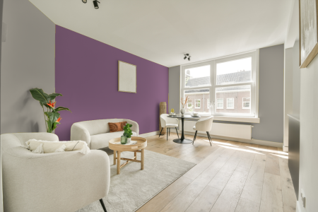 apartement met de kleur G0.05.70 op de muren