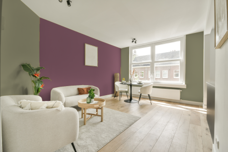 apartement met de kleur H1.16.58 op de muren