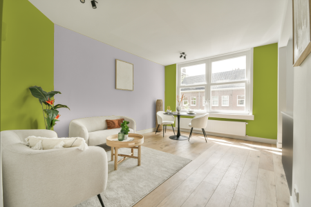 apartement met de kleur H2.49.69 op de muren