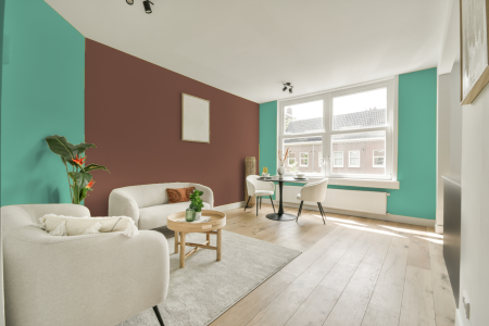 apartement met de kleur M3.24.71 op de muren