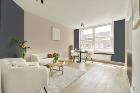 apartement met de kleur Rn.01.38 op de muren