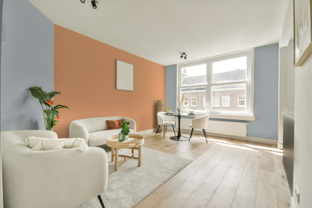 apartement met de kleur Rn.02.77 op de muren