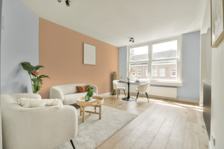 apartement met de kleur Sn.01.87 op de muren