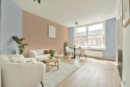 apartement met de kleur Tn.02.82 op de muren