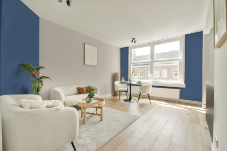 apartement met de kleur U0.24.39 op de muren