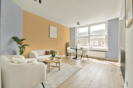 apartement met de kleur Un.01.81 op de muren