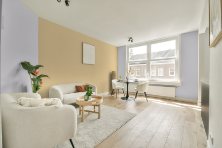 apartement met de kleur Vn.01.86 op de muren