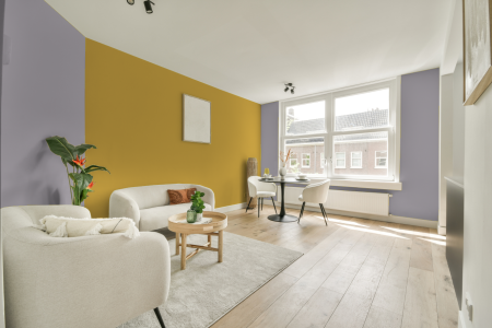 apartement met de kleur W9.03.68 op de muren