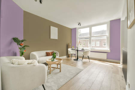 apartement met de kleur Y0.10.70 op de muren