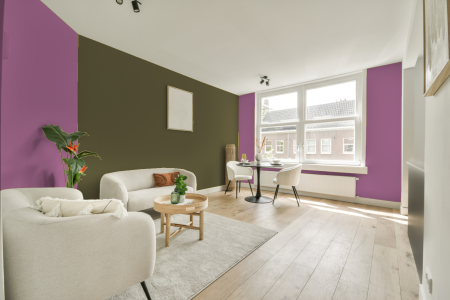 apartement met de kleur Y6.24.52 op de muren