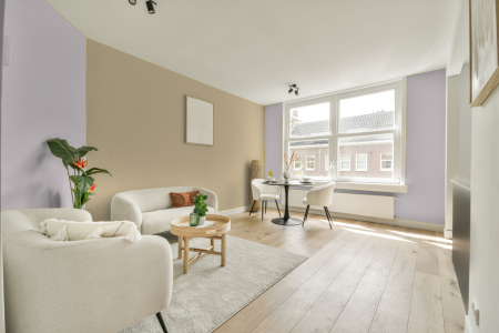 apartement met de kleur Yn.02.83 op de muren