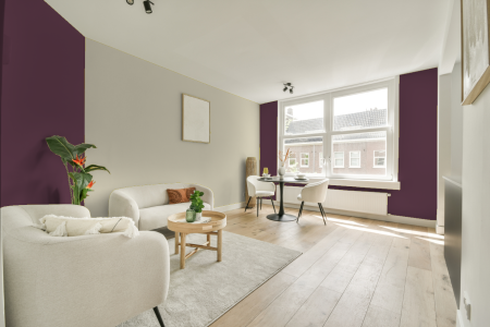 apartement met de kleur Z3.21.24 op de muren