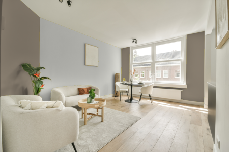 apartement met de kleur Rijks bruin op de muren