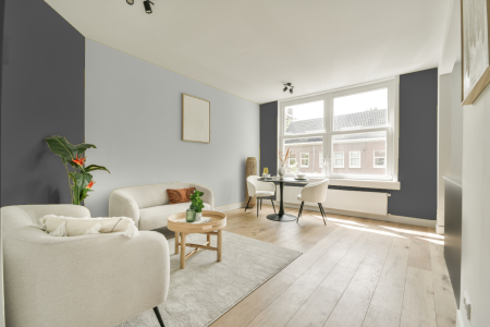 apartement met de kleur Rijks donker grijs op de muren