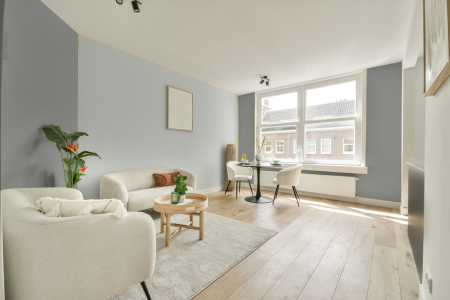 apartement met de kleur Rijks midden grijs op de muren