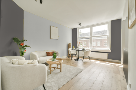 apartement met de kleur Rijks warm grijs op de muren