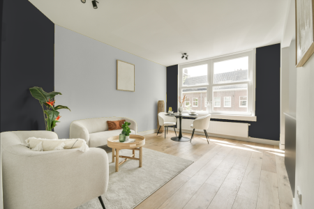 apartement met de kleur Rijks zwart grijs op de muren