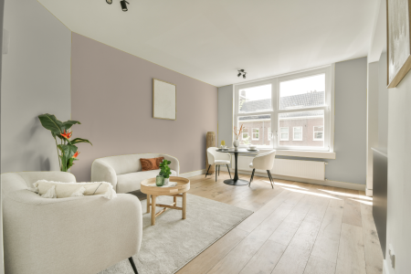 apartement met de kleur Sikkens bloesem wit op de muren