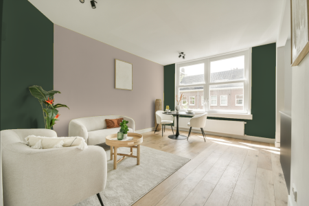 apartement met de kleur Sikkens woud groen op de muren