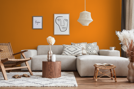 woonkamer met strak design in kleur E2.64.59